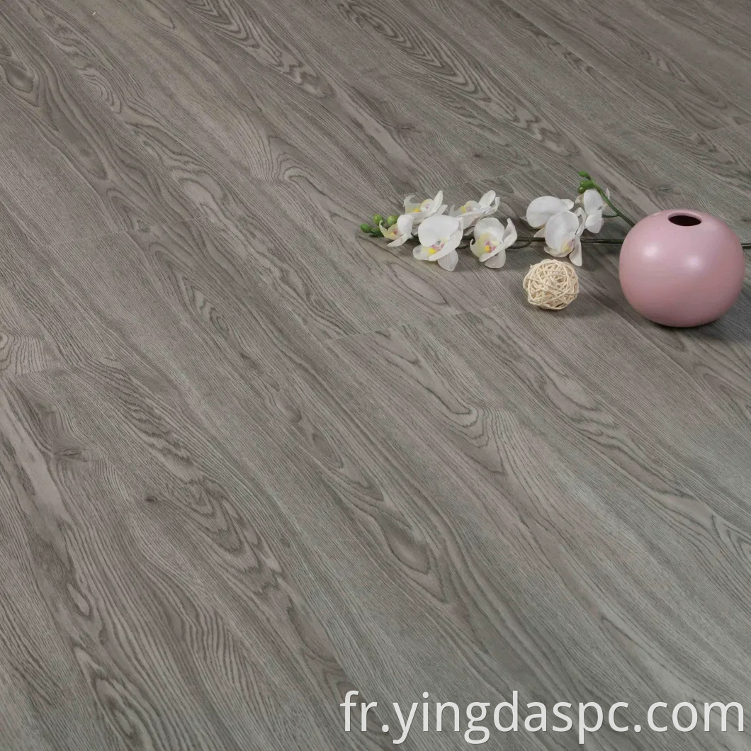 Plancher en vinyle imperméable avec couleur grise